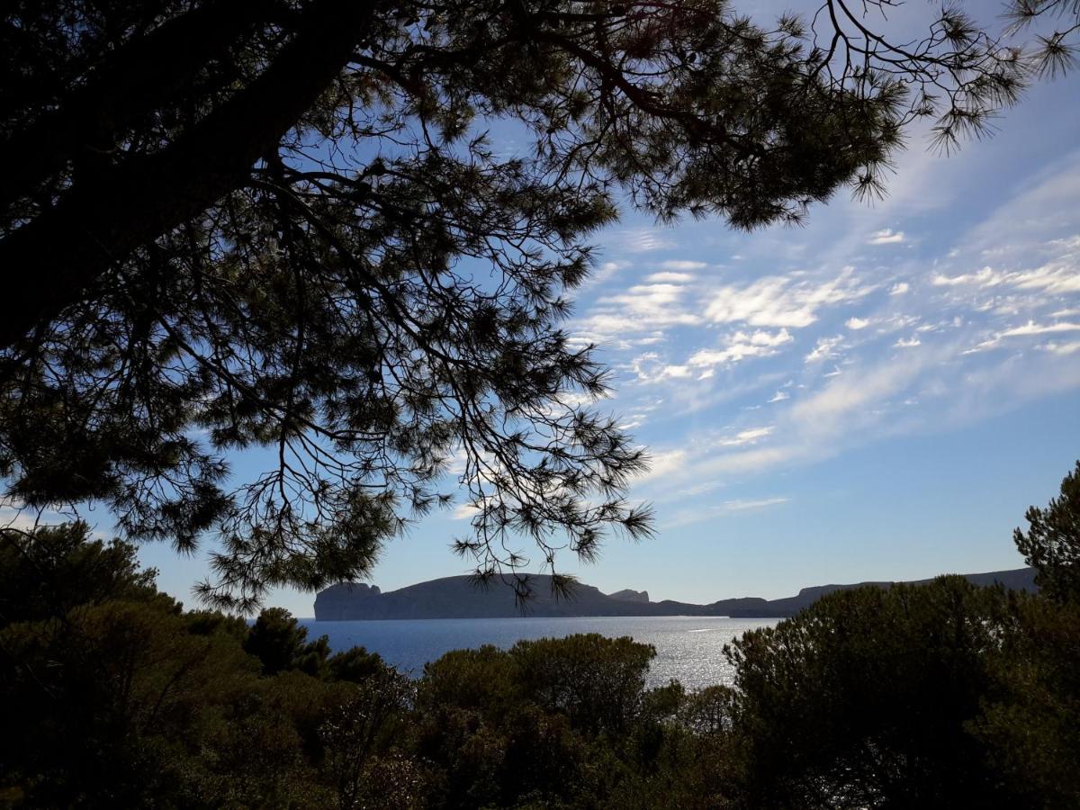 Khorakhane Αλγκέρο Εξωτερικό φωτογραφία